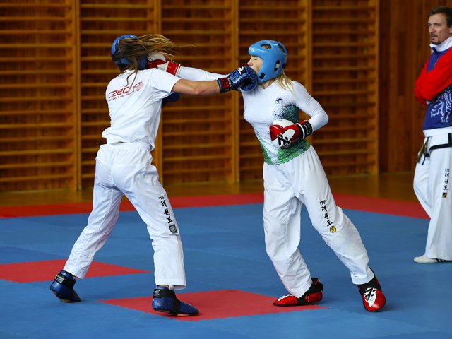 soustředění státní reprezentace ČR před Mistrovstvím Světa