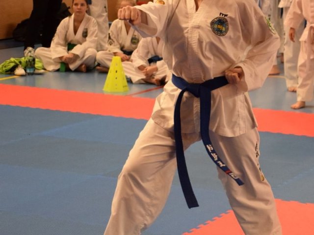 Týnecký pohár leden 2025