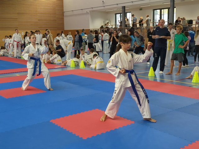 Týnecký pohár září 2025