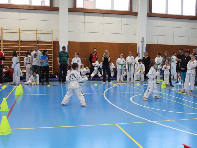 Čestlický pohár květen 2025