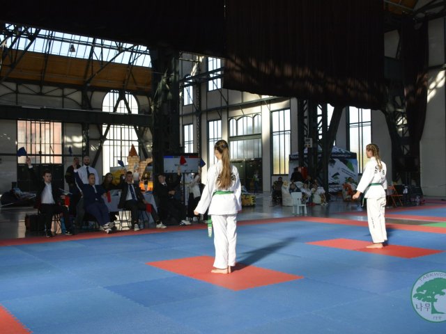 Obrázek