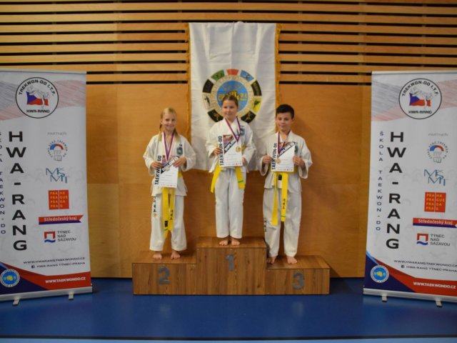 Týnecký pohár listopad 2024