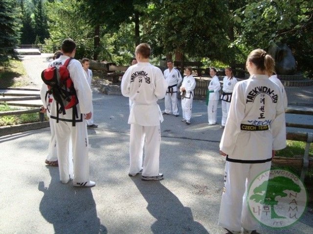 TKD Kemp Švýcarsko červen 2011