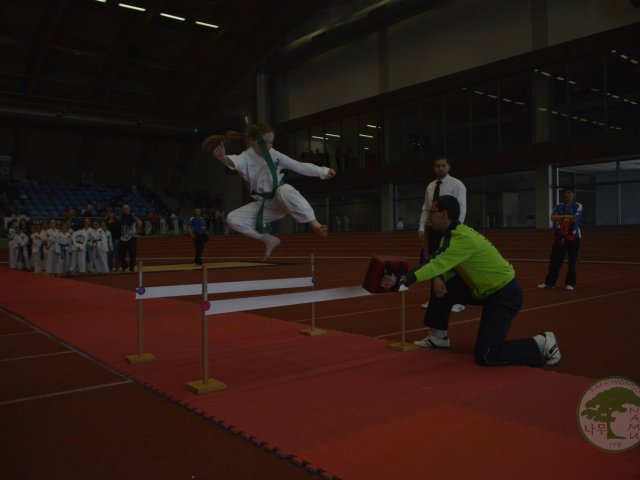 Obrázek