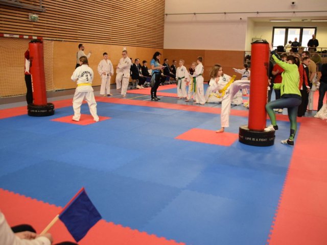 Týnecký pohár leden 2025