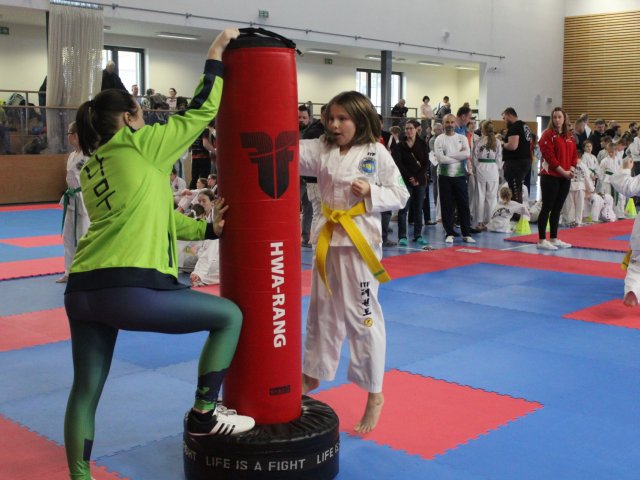 Týnecký pohár leden 2025