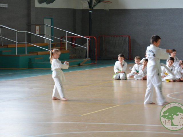 Obrázek