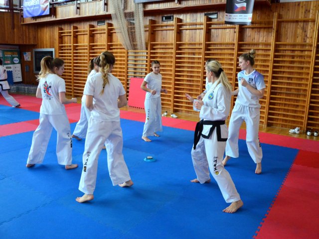 soustředění státní reprezentace ČR před Mistrovstvím Evropy 24´