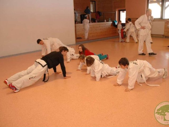 Obrázek