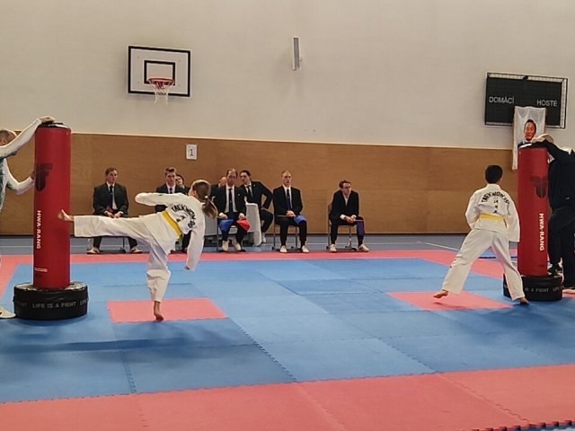 Týnecký pohár listopad 2024