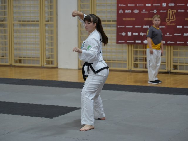 Pohár Českého svazu 2.kolo - říjen 2024