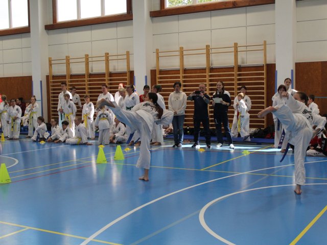 Čestlický pohár květen 2025