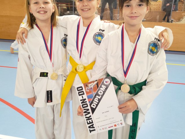 Týnecký pohár listopad 2024