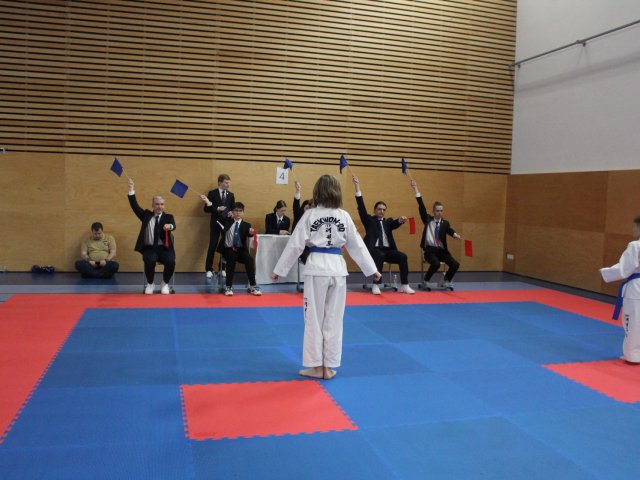 Týnecký pohár leden 2025