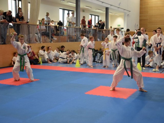 Týnecký pohár duben 2025