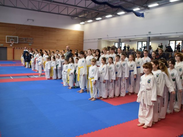 Týnecký pohár leden 2024