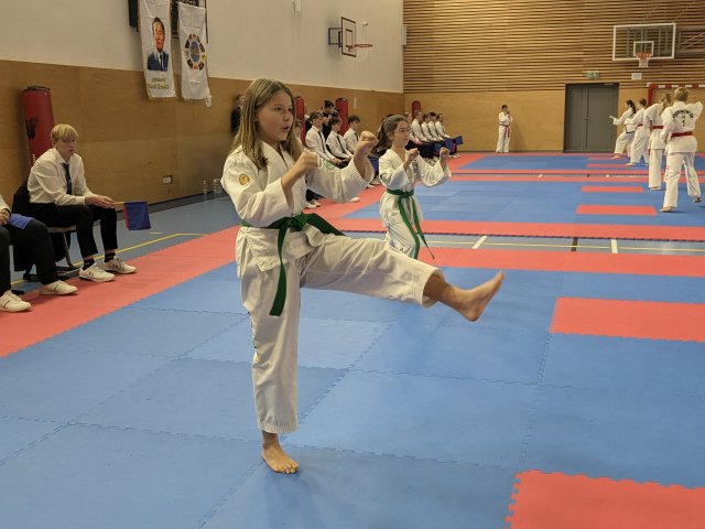 Týnecký pohár září 2025