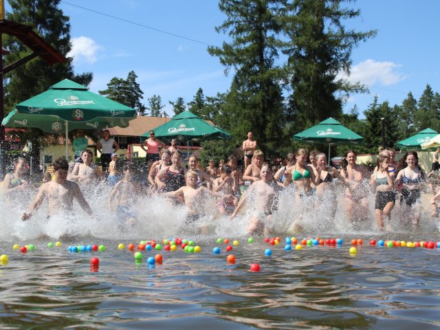 Obrázek