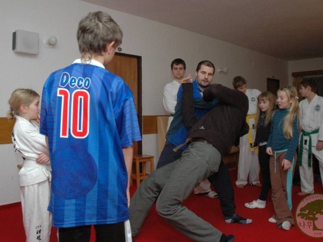 Obrázek