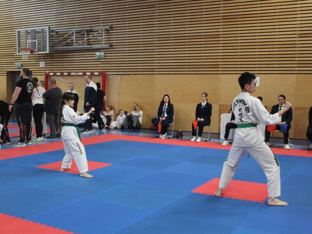 Týnecký pohár leden 2025