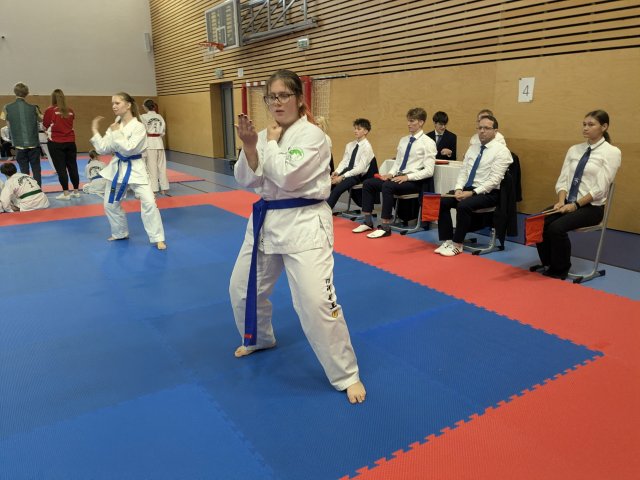 Týnecký pohár září 2025