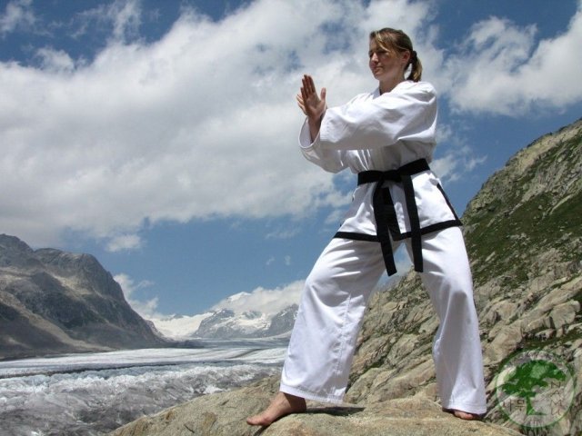 TKD Kemp Švýcarsko červen 2011