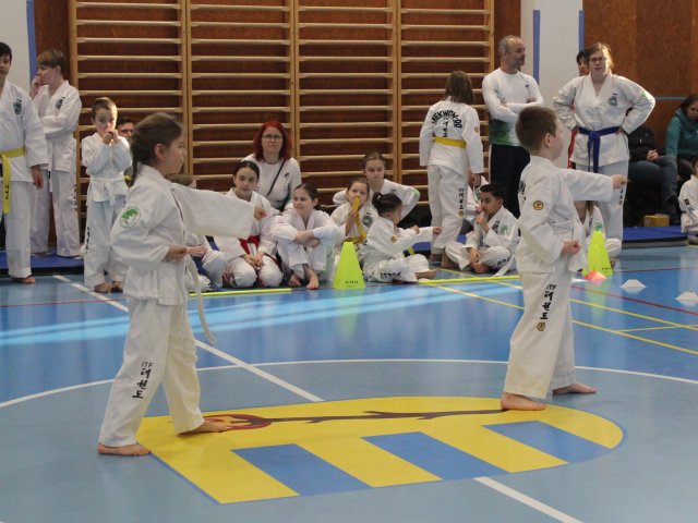 Čestlický pohár únor 2025