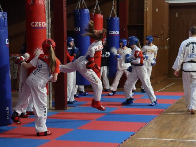 soustředění státní reprezentace ČR před Mistrovstvím Evropy 24´