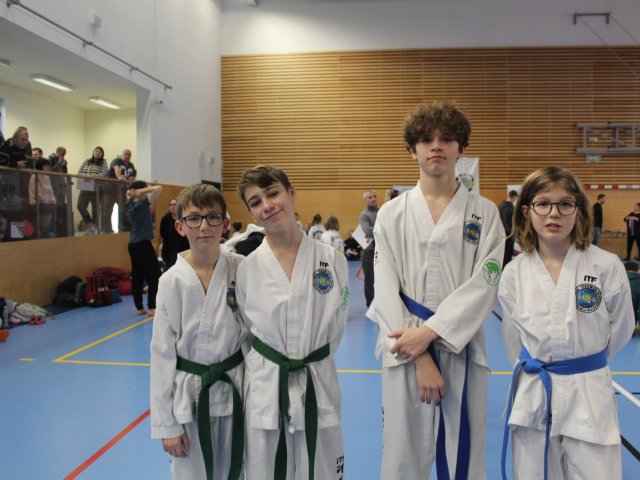 Týnecký pohár leden 2025