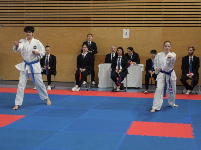 Týnecký pohár leden 2025