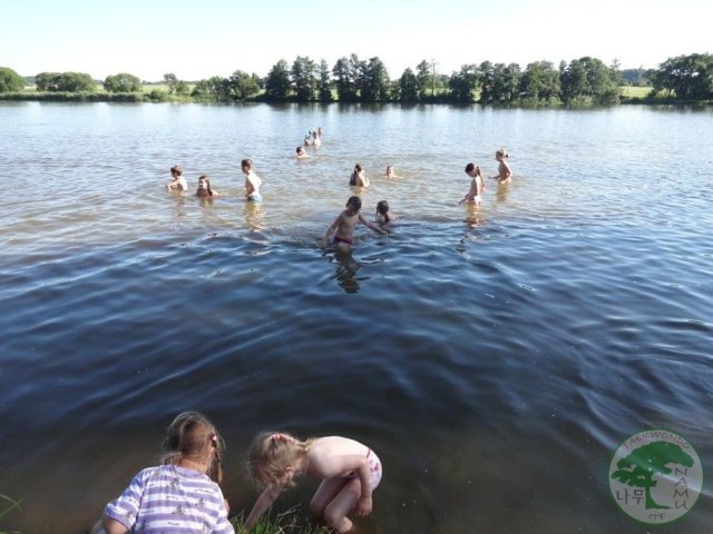 Obrázek