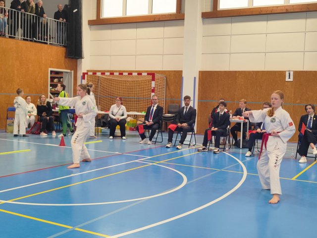 Čestlický pohár prosinec 2024