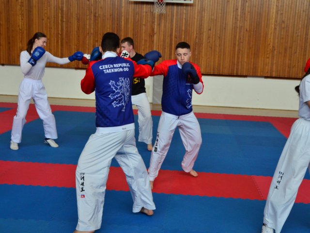 soustředění státní reprezentace ČR před Mistrovstvím Evropy 25´