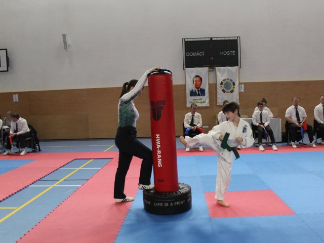 Týnecký pohár duben 2024