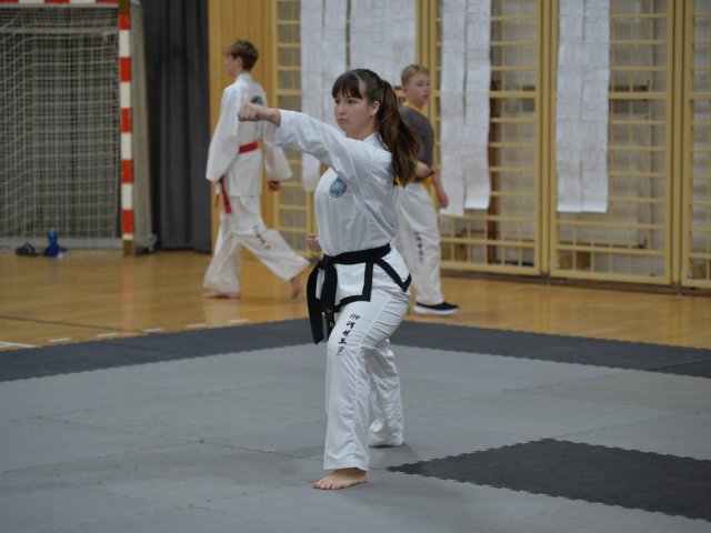 Pohár Českého svazu 2.kolo - říjen 2024