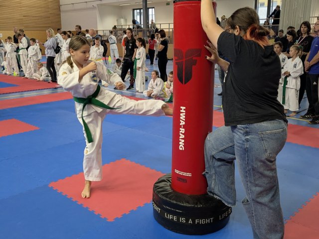 Týnecký pohár září 2025