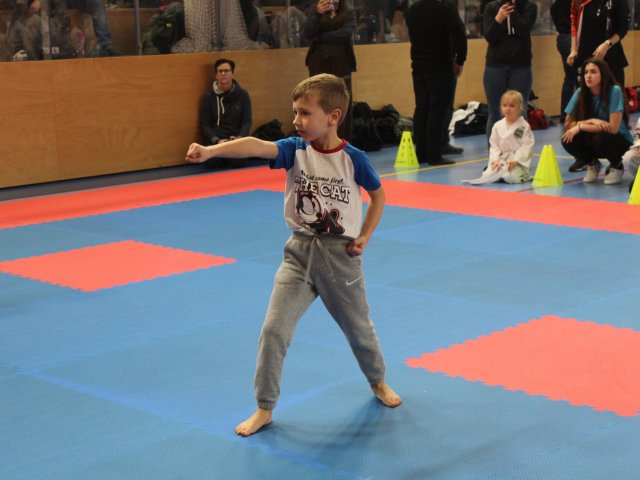 Týnecký pohár leden 2025