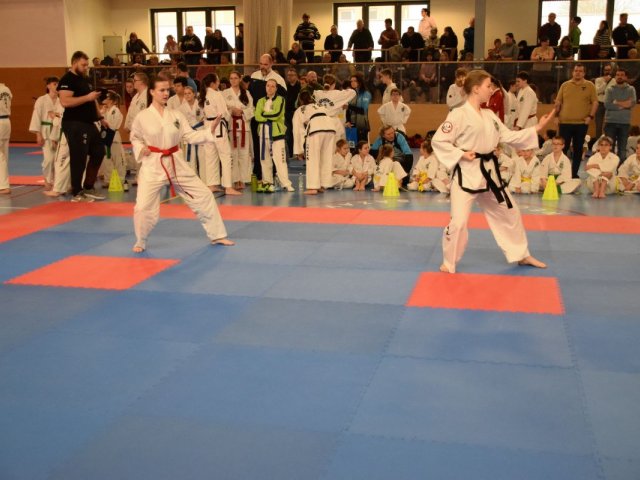 Týnecký pohár leden 2025