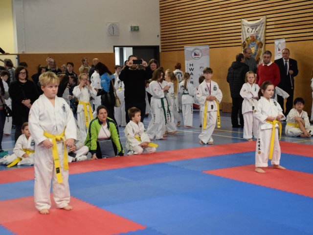 Týnecký pohár leden 2024