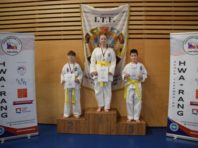 Týnecký pohár leden 2024