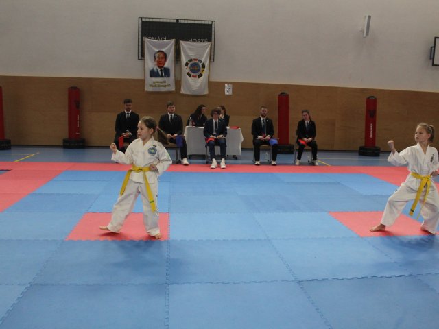 Týnecký pohár leden 2025