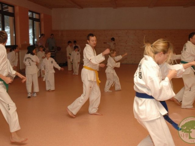 Obrázek