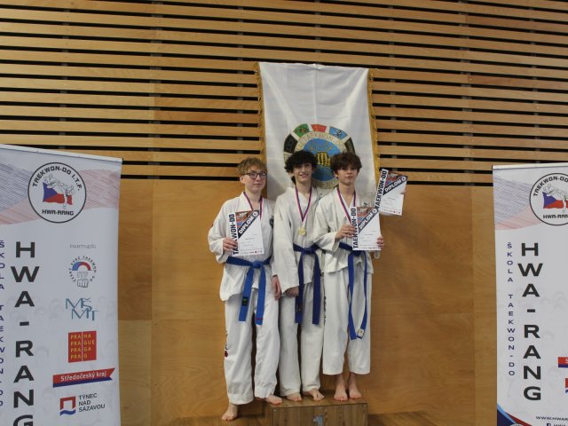 Týnecký pohár leden 2025