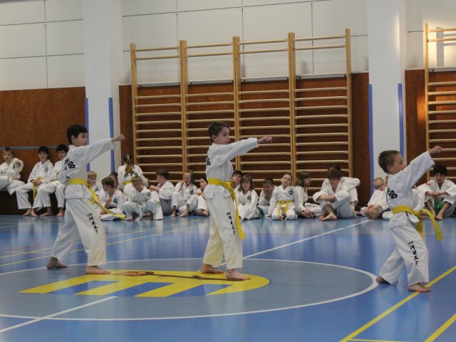 Zkoušky na TS KUP červen 2024