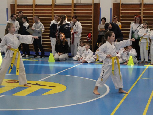 Čestlický pohár únor 2025