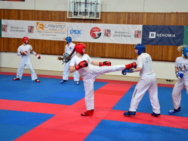 soustředění státní reprezentace ČR před Mistrovstvím Evropy 24´