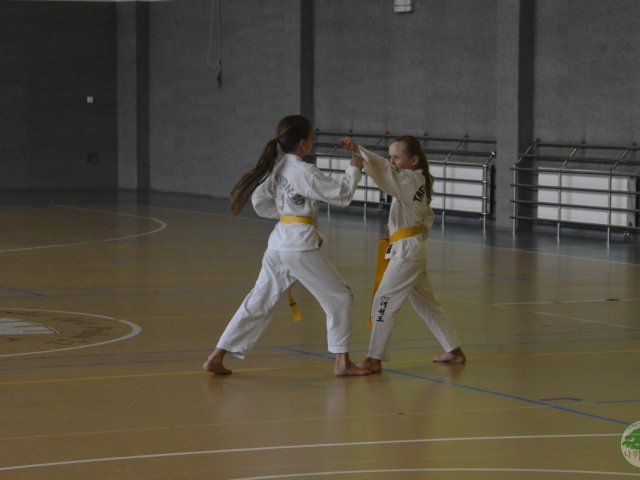 Zkoušky léto 2017