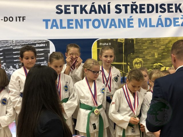 STM celorepublikové testování 2019