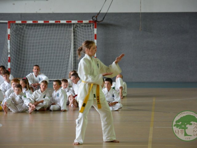 Obrázek