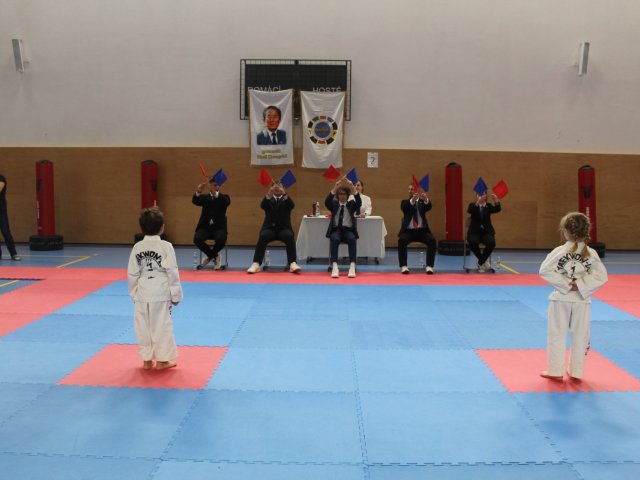 Týnecký pohár leden 2025